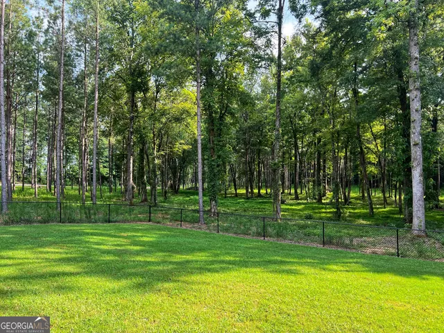 a view of a park with trees in the background