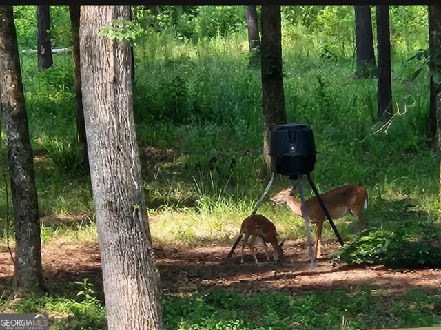 a view of outdoor space and garden