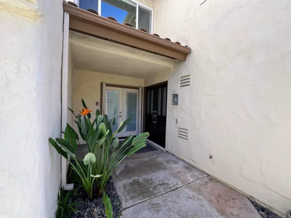 a potted plant in front of a door