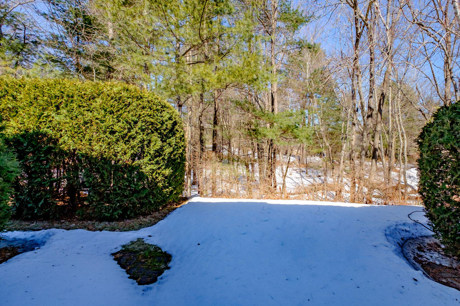 47 Foreside Common Road, Unit 47 Falmouth, ME 04105 - Photo 31 of 32 20190318gp-61079