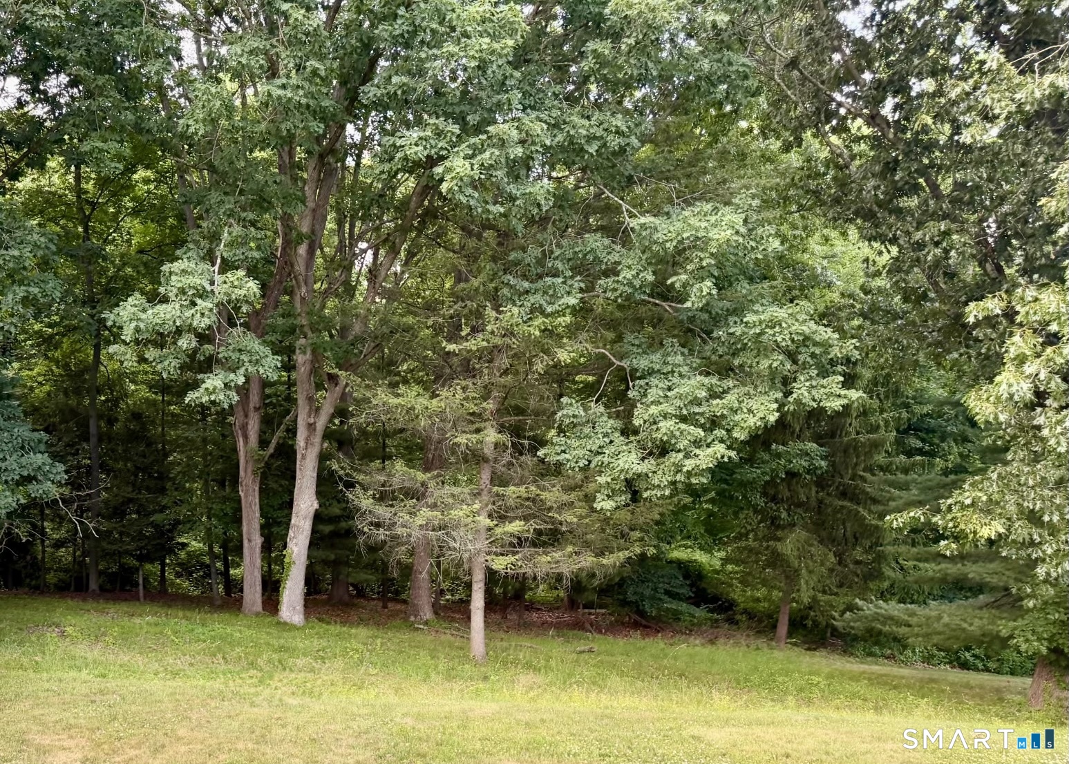 10 Longview Lane Wallingford, CT 06492 - Photo 24 of 24