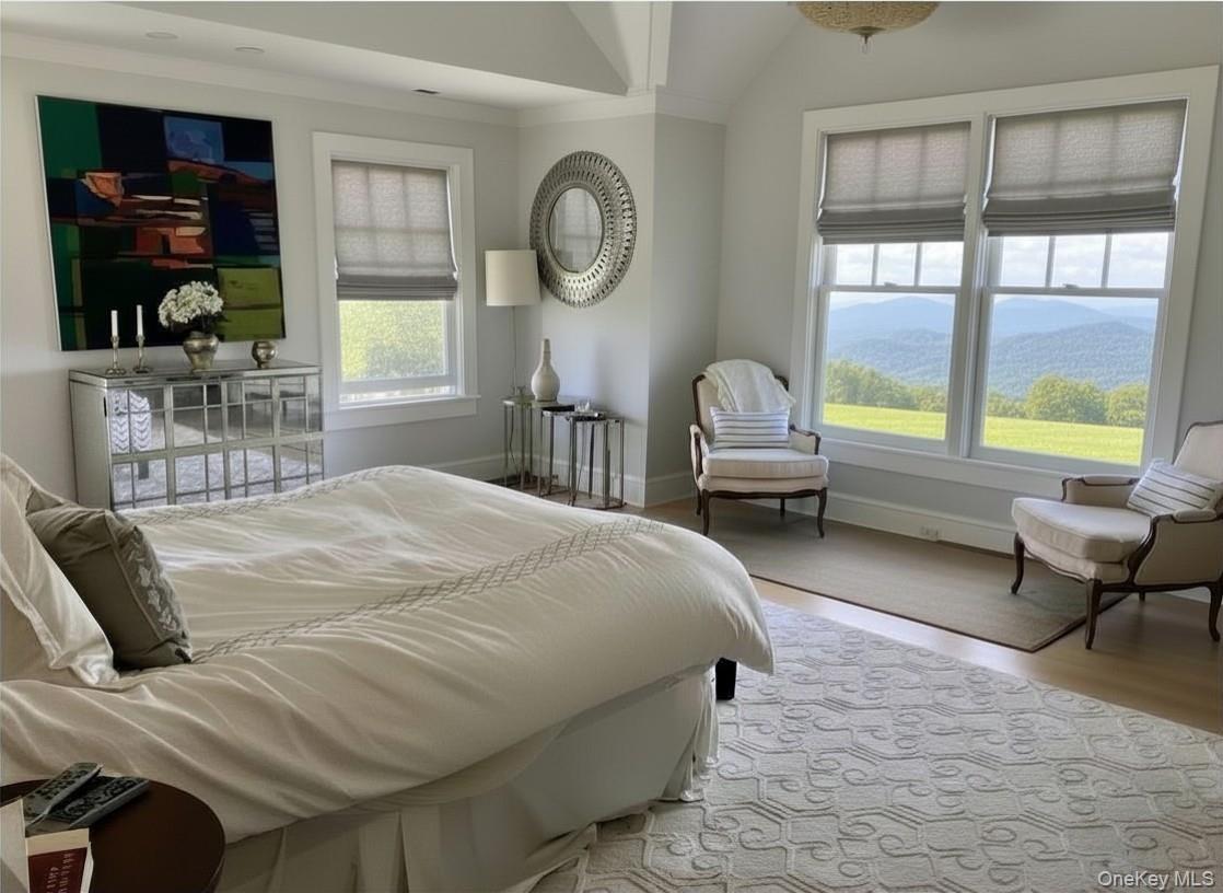 162 Amenia Union Road Amenia, NY 12501 - Photo 11 of 16 The Large Primary Bedroom Suite Enjoys Abundant Light, Vaulted Ceiling and Spectacular Views