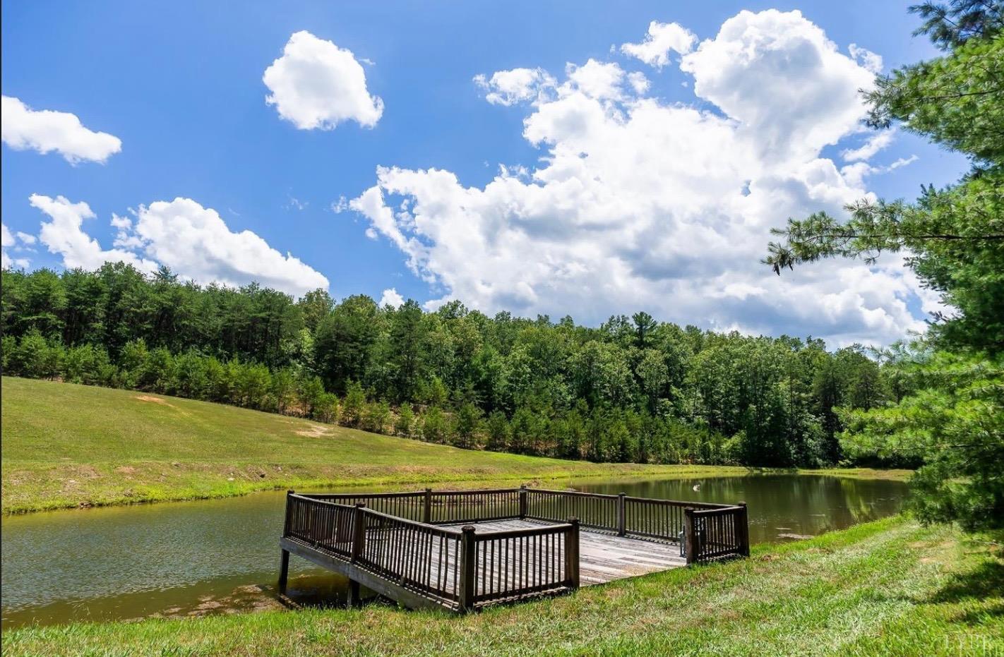 a view of a swimming pool with a back yard