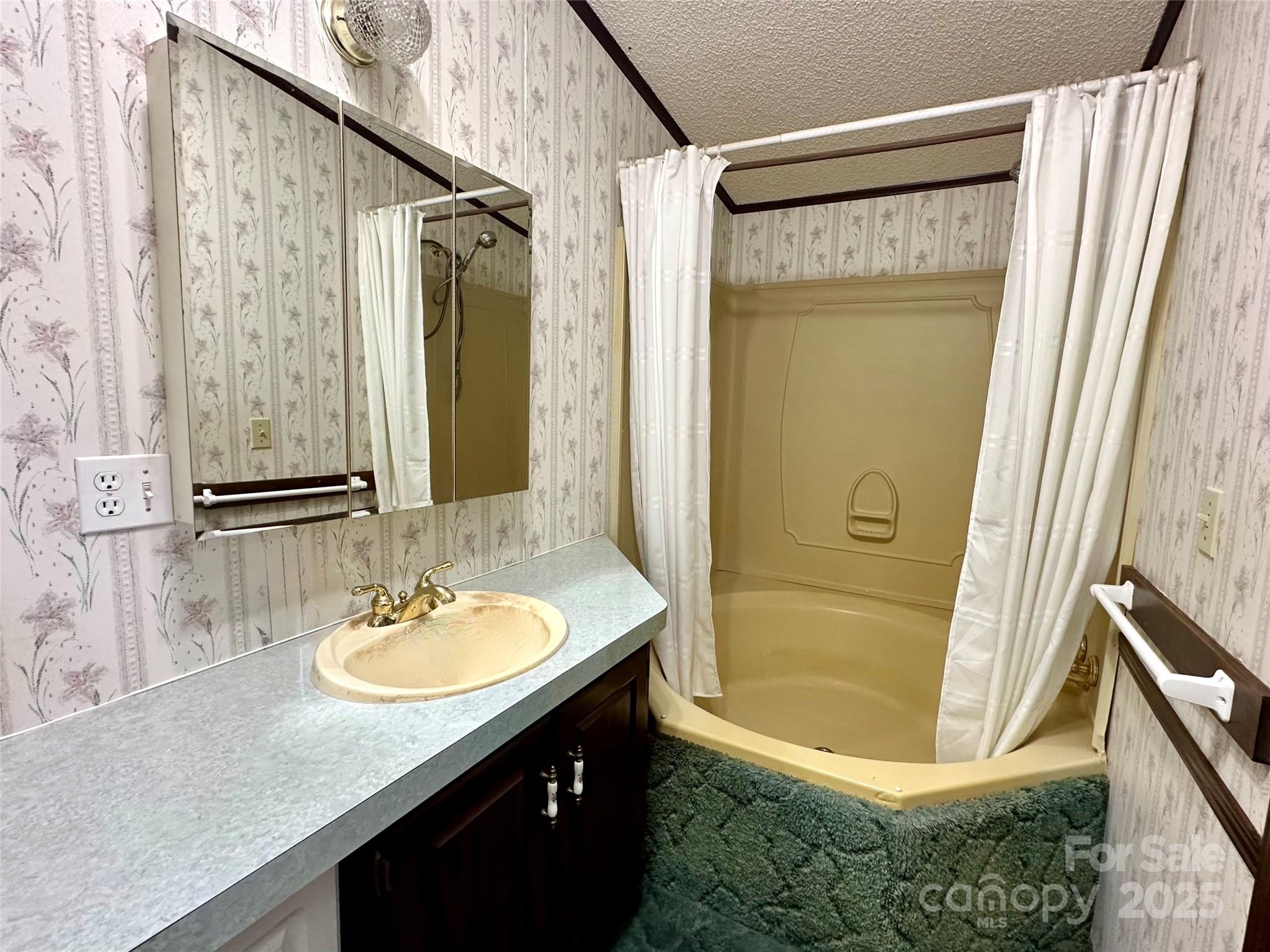 572 Blue Rdg Parkway Spruce Pine, NC 28777 - Photo 16 of 38 a bathroom with a granite countertop sink shower and a mirror