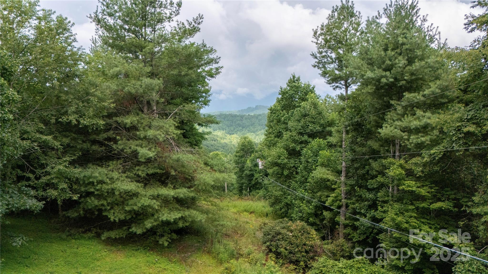572 Blue Rdg Parkway Spruce Pine, NC 28777 - Photo 2 of 38 an aerial view of residential house with outdoor space and trees all around
