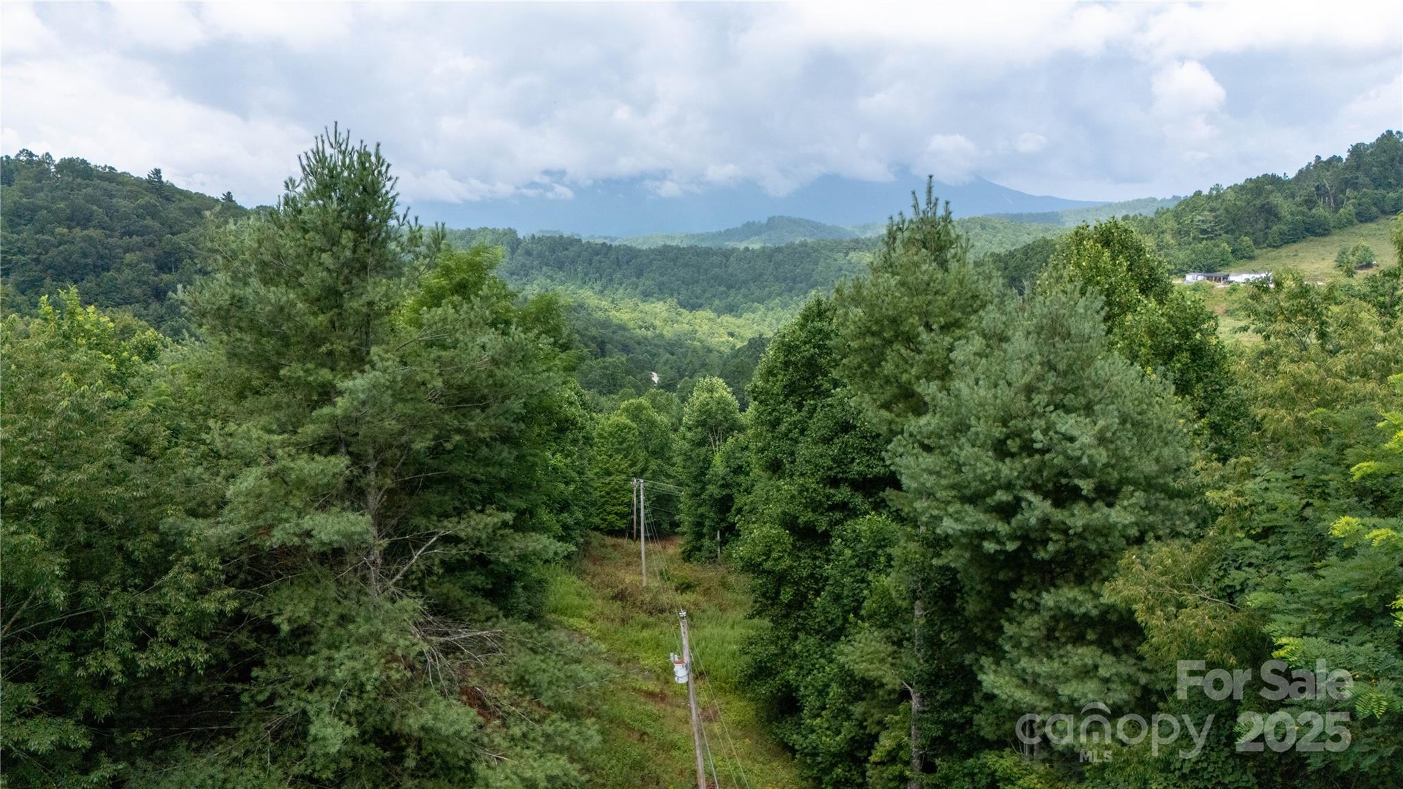 572 Blue Rdg Parkway Spruce Pine, NC 28777 - Photo 25 of 38 a view of a bunch of trees and bushes