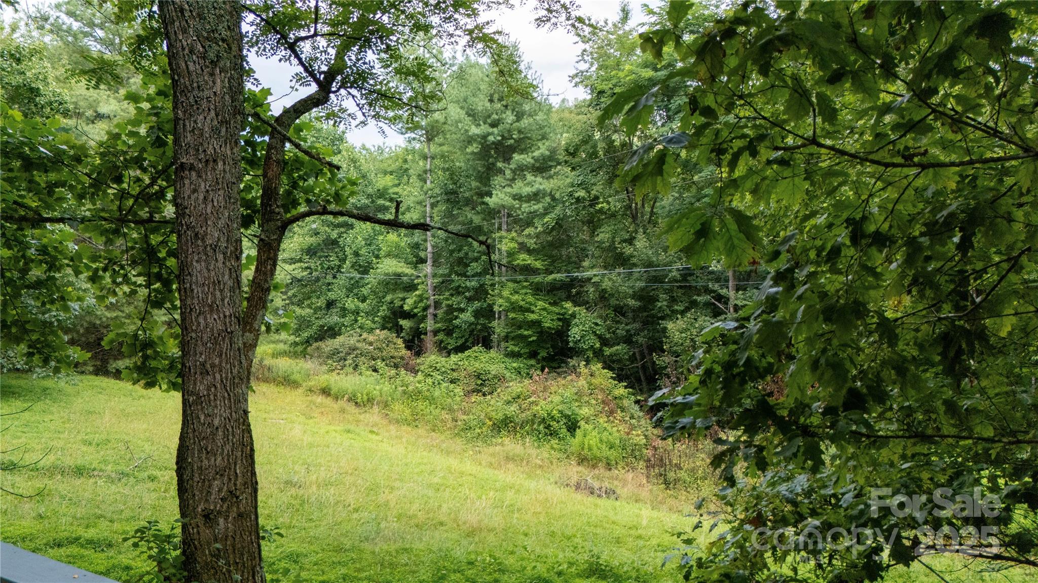 572 Blue Rdg Parkway Spruce Pine, NC 28777 - Photo 26 of 38 a view of a yard with a tree