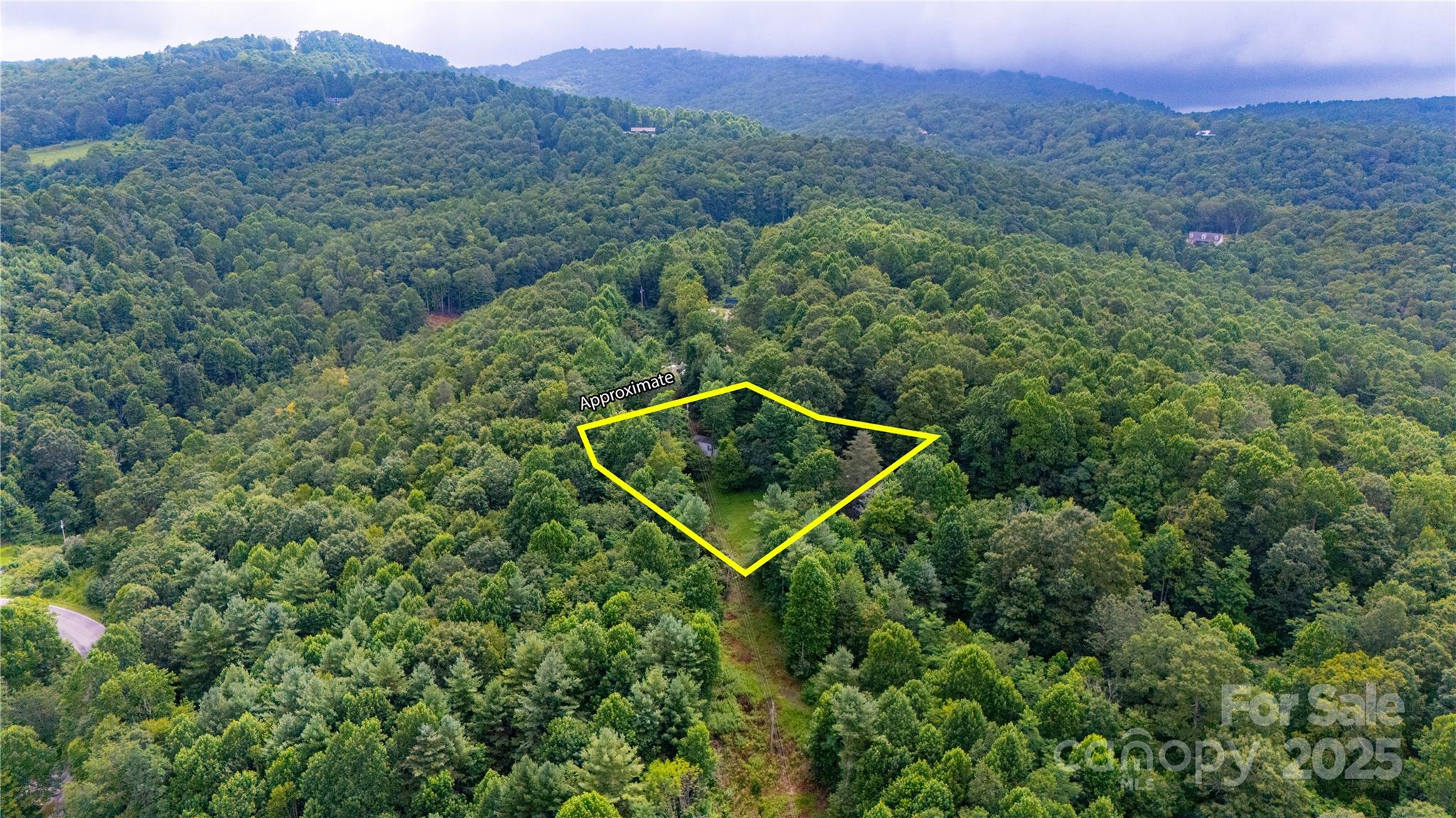 572 Blue Rdg Parkway Spruce Pine, NC 28777 - Photo 3 of 38 a view of a field with a tree in a field