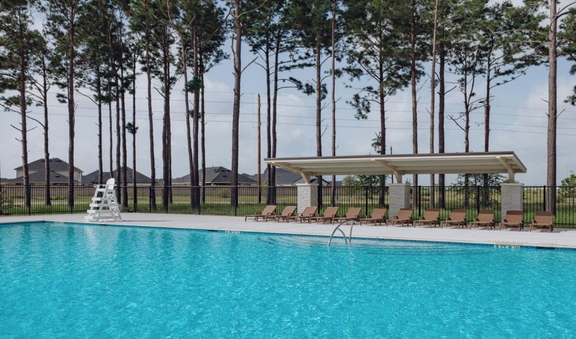 21619 Flannel Bush Lane Cypress, TX 77433 - Photo 32 of 34 a view of a yard with palm trees