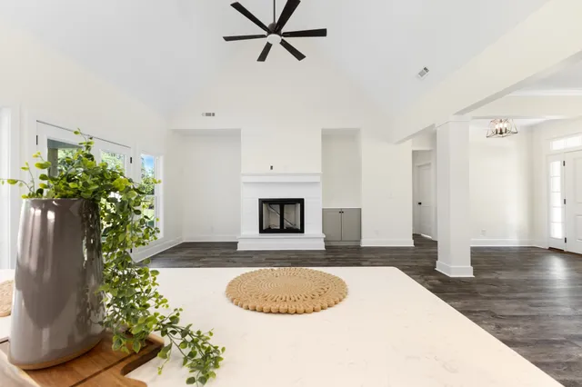 a view of a livingroom with a potted plant