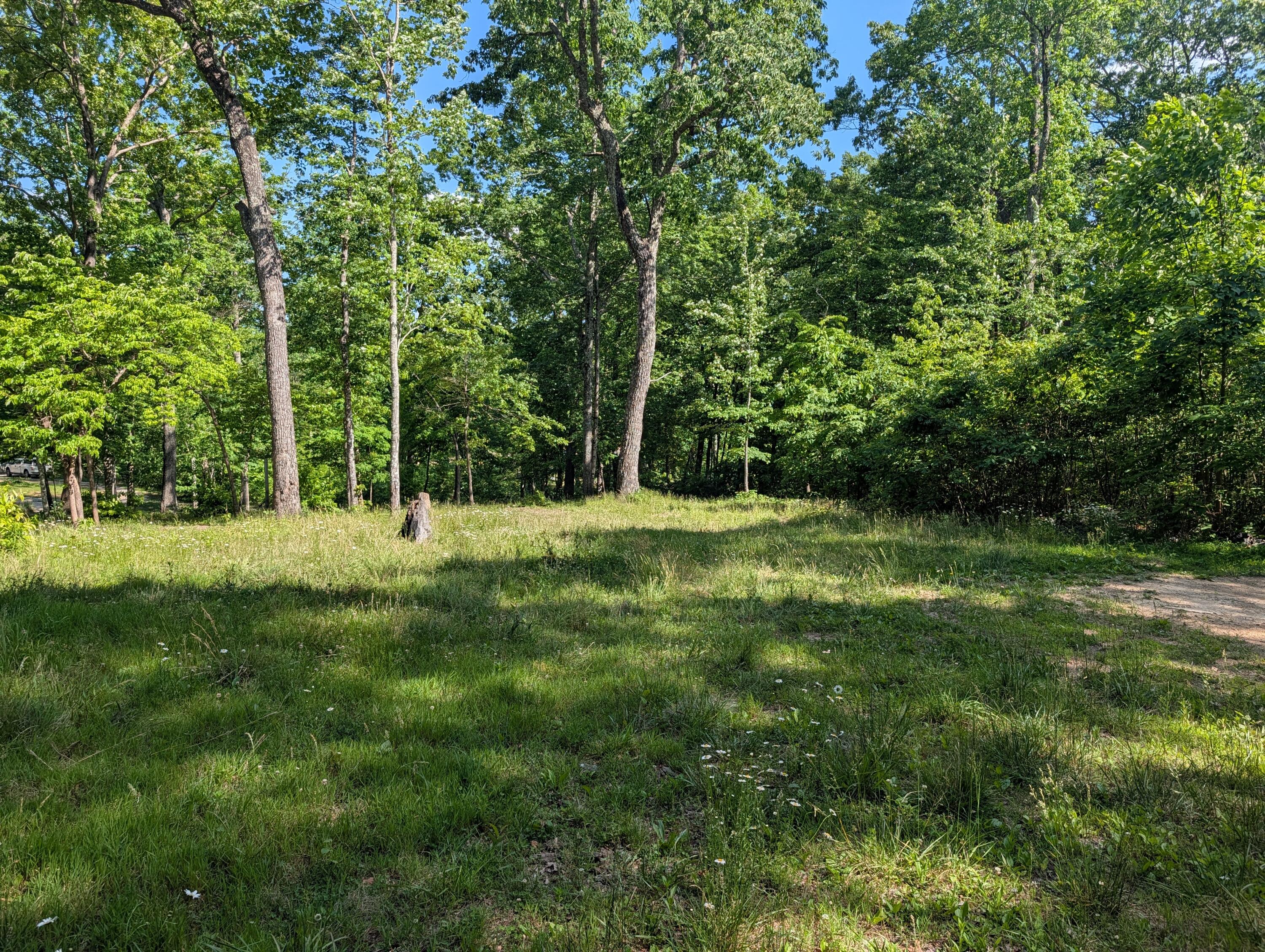 Lot 94-95 Red Oak Ln Spring Spring City, TN 37381 - Photo 4 of 10 PXL_20260518_203931860