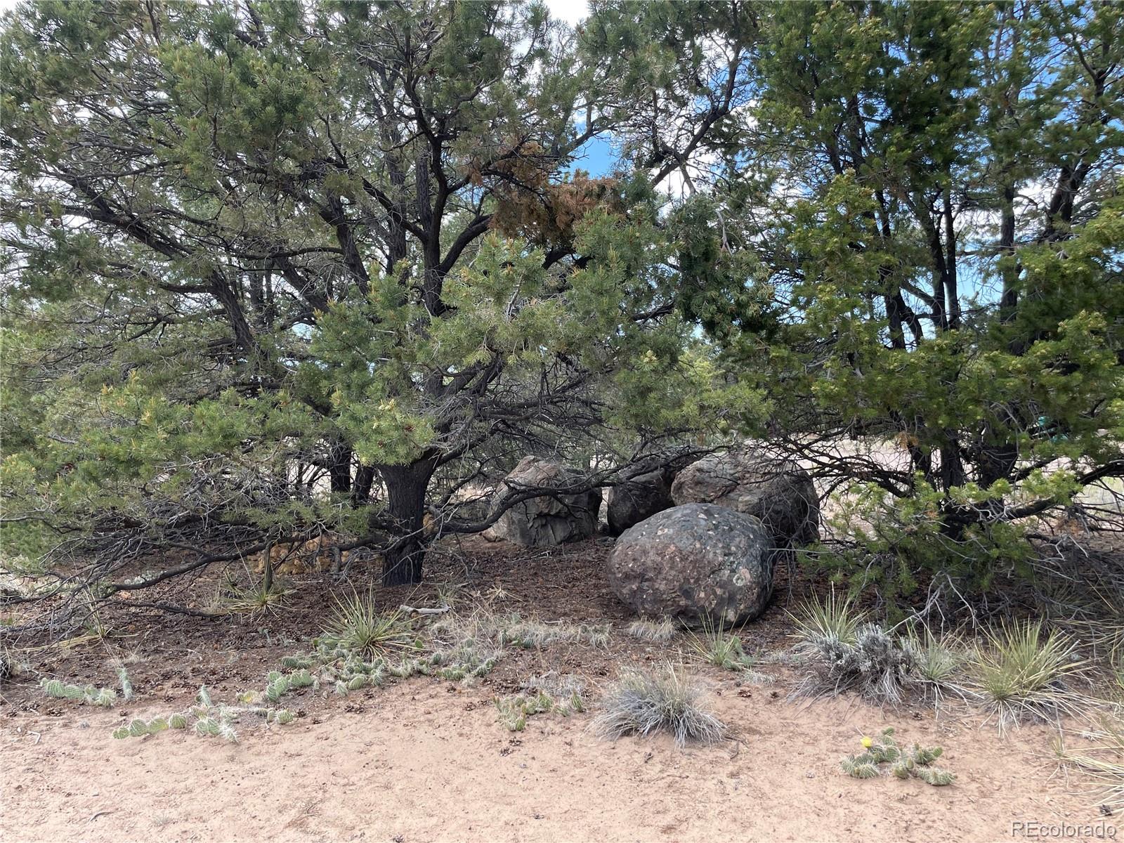 4303 Fallen Tree Way Crestone, CO 81131 - Photo 17 of 19