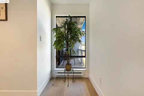 a view of a room with wooden floor and a potted plant