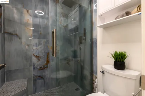 a bathroom with a shower and a toilet