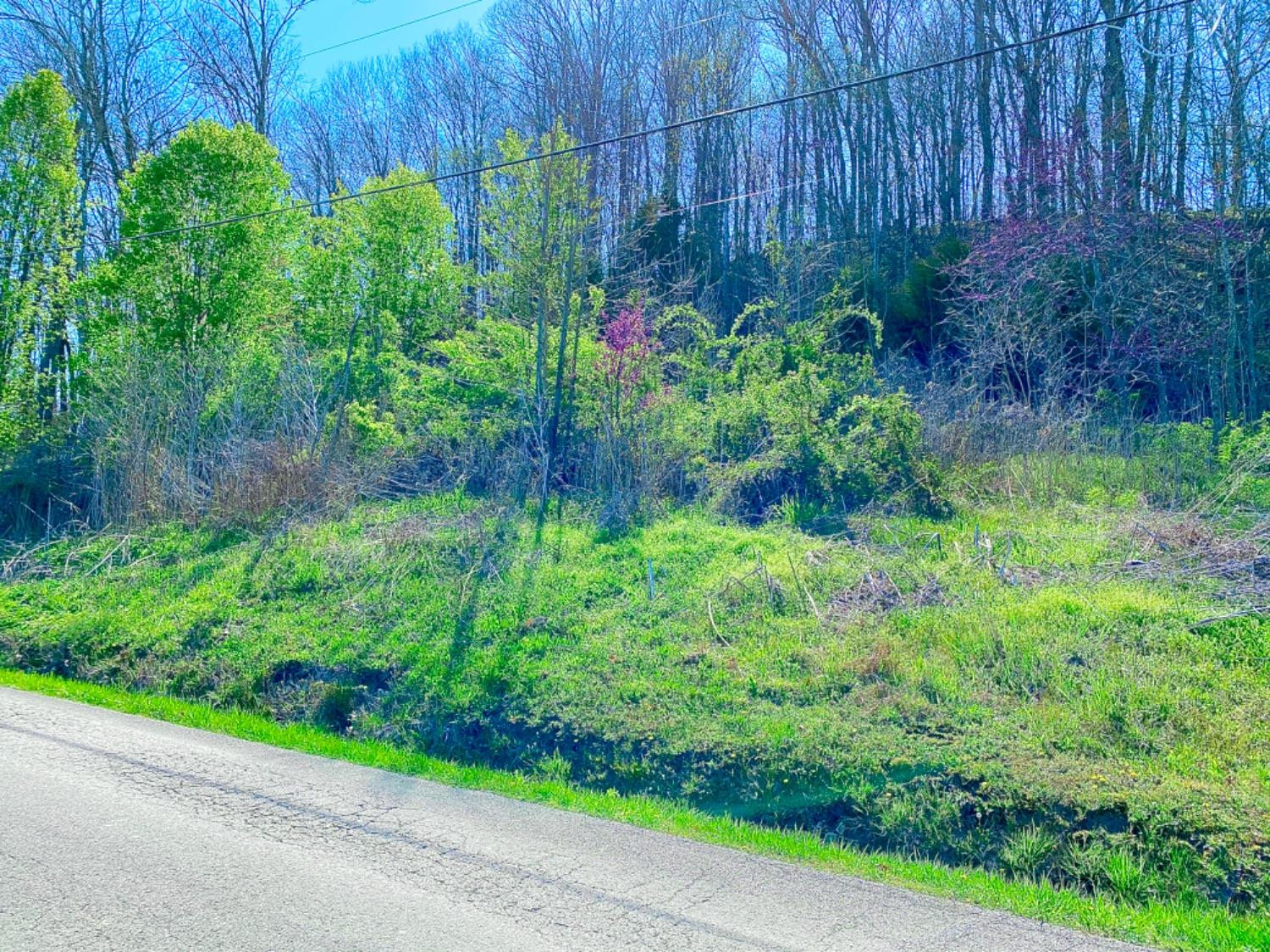 999 Barnett Road Brodhead, KY 40409 - Photo 2 of 11 Photo 2