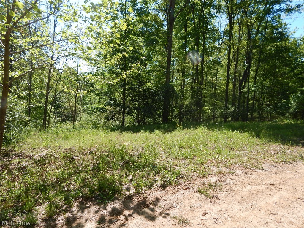 7 Chanteclair Road Cairo, WV 26337 - Photo 2 of 14