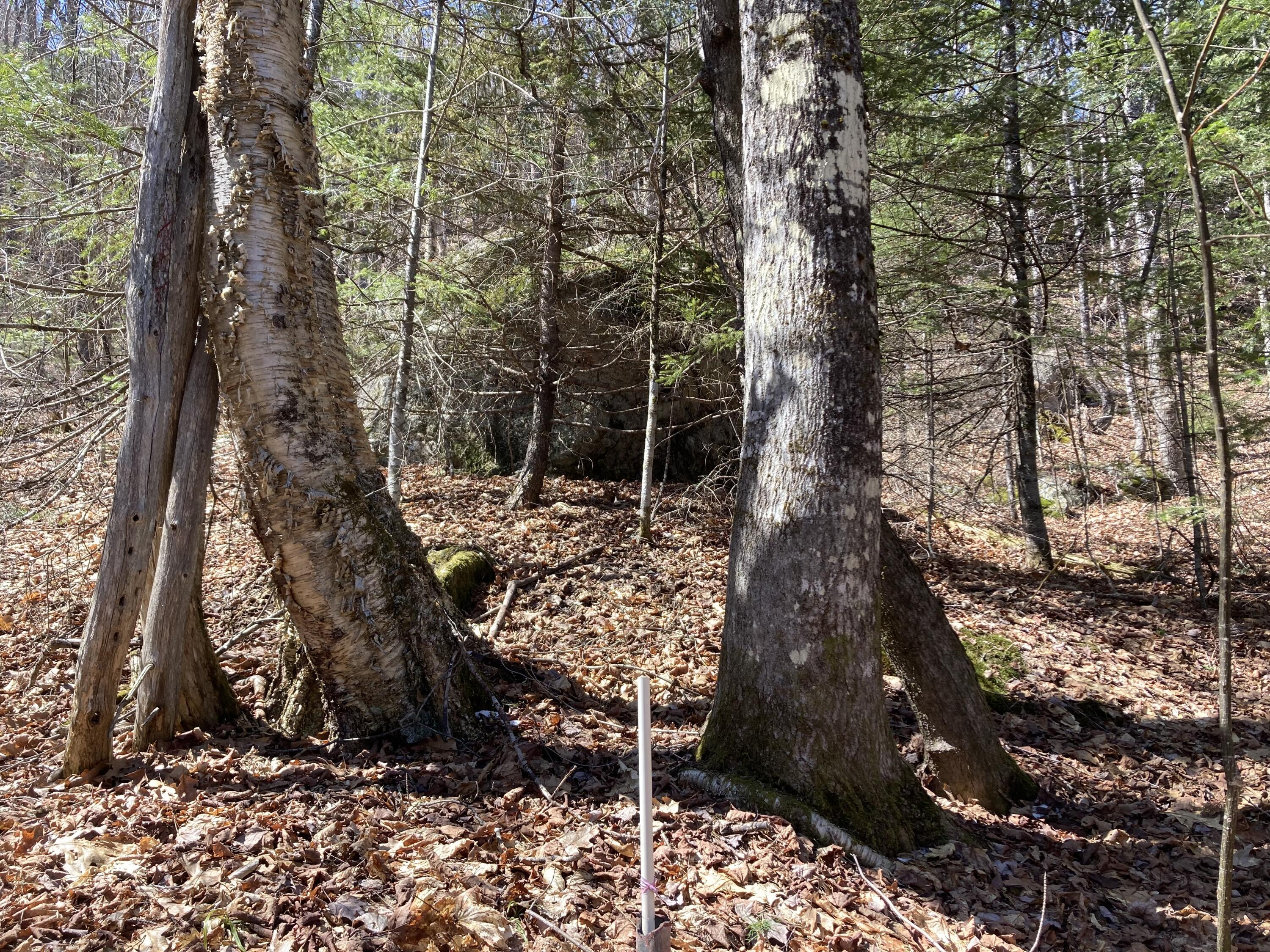 247 Ellis River Road Rumford, ME 04276 - Photo 6 of 19 IMG_4422