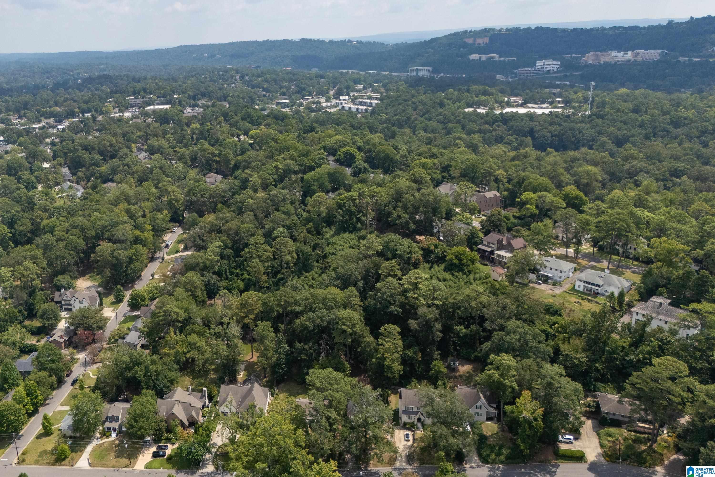 1618 Wellington Road Birmingham, AL 35209 - Photo 47 of 51