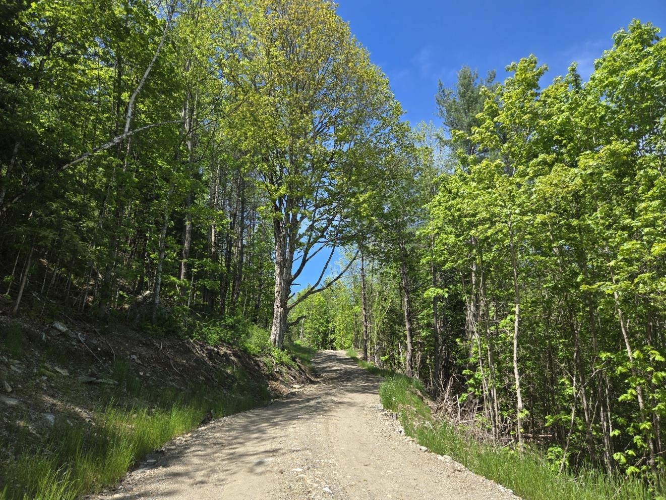 0 Vt Route, Unit LOT 2 Bethel, VT 05032 - Photo 2 of 11