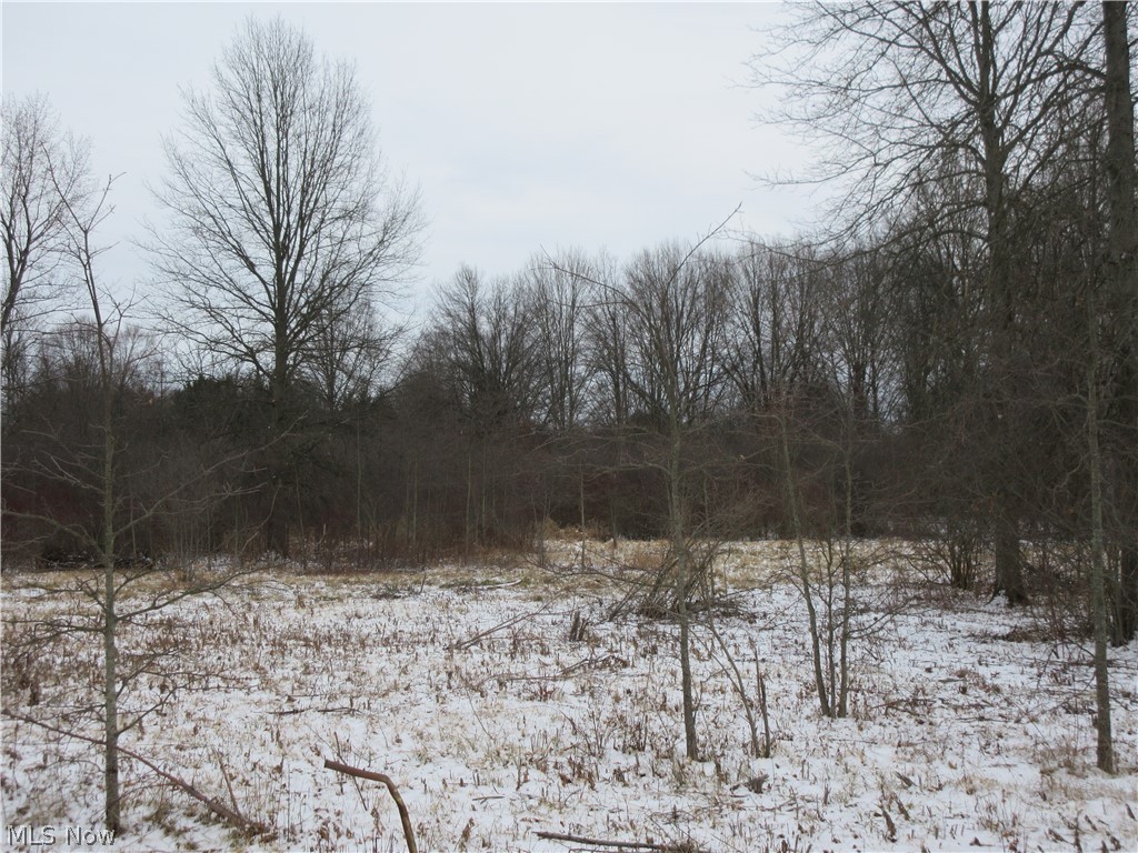 0 Anderson Anthony Road Warren, OH 44481 - Photo 13 of 14 Gallery Image 13