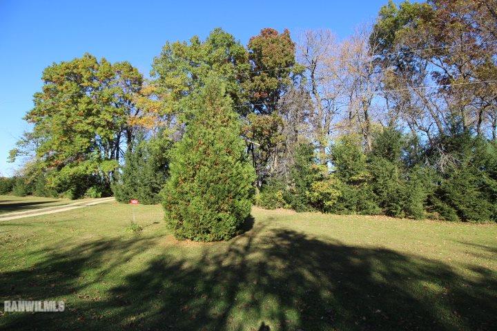 1629 North Farwell Bridge Road Ridott, IL 61067 - Photo 3 of 25 a view of a yard with a tree