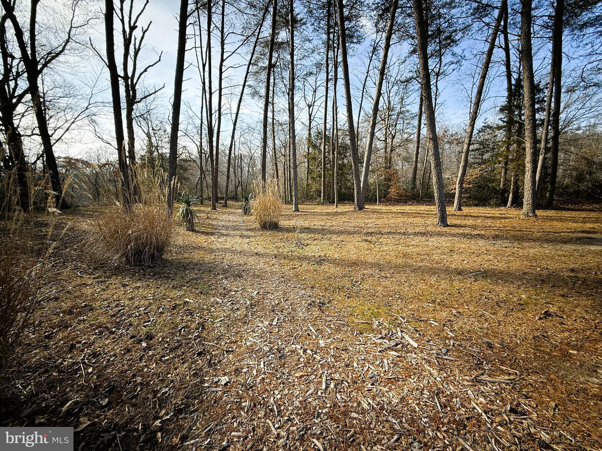 12820 Porters Landing Road Greensboro, MD 21639 - Photo 11 of 28 Expansive grounds offers privacy