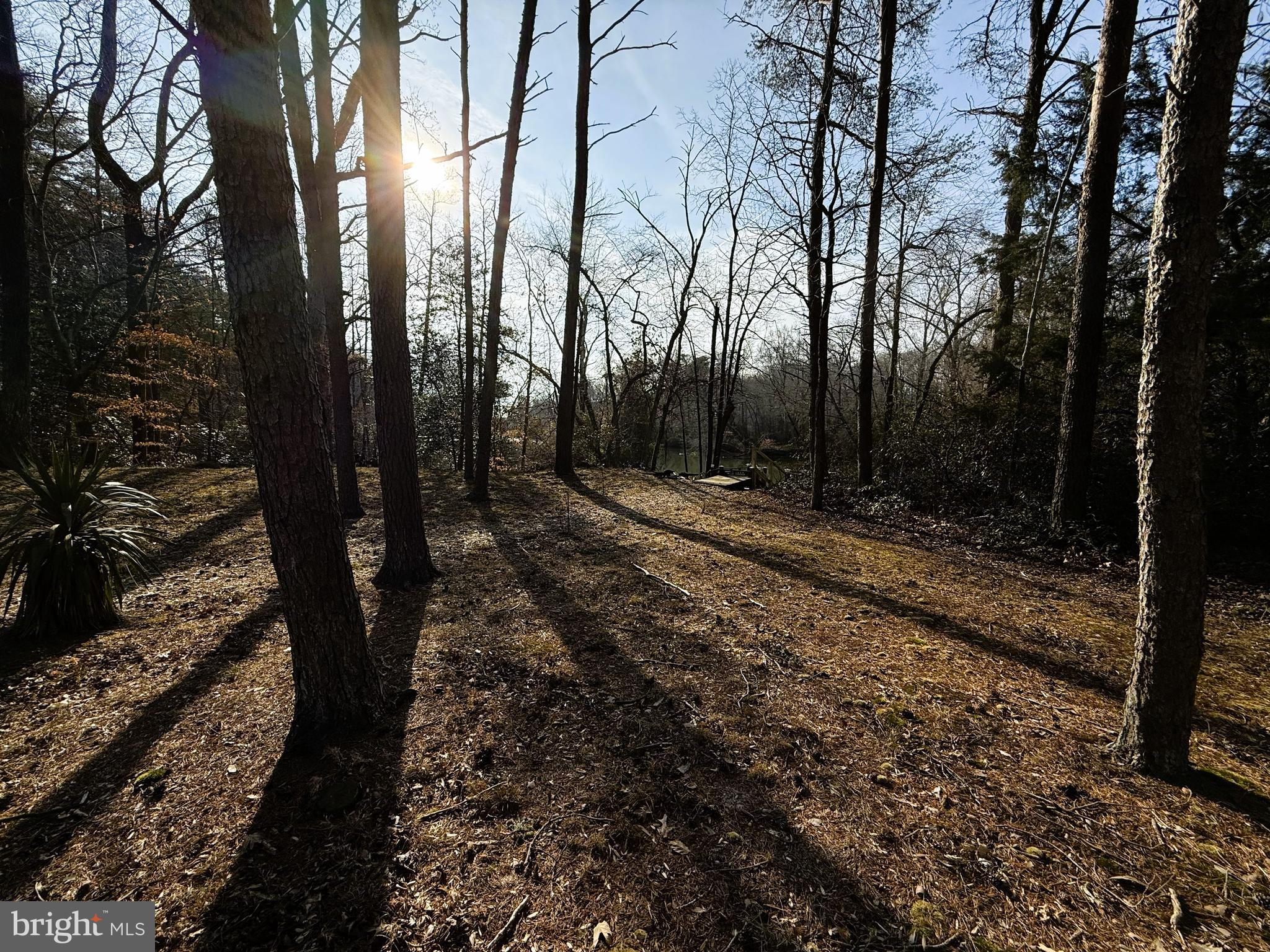 12820 Porters Landing Road Greensboro, MD 21639 - Photo 13 of 28 Leading to private pier