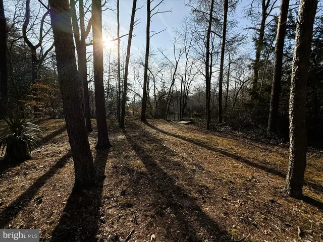 $749,900 | 12820 Porters Landing Road, Greensboro, MD 21639