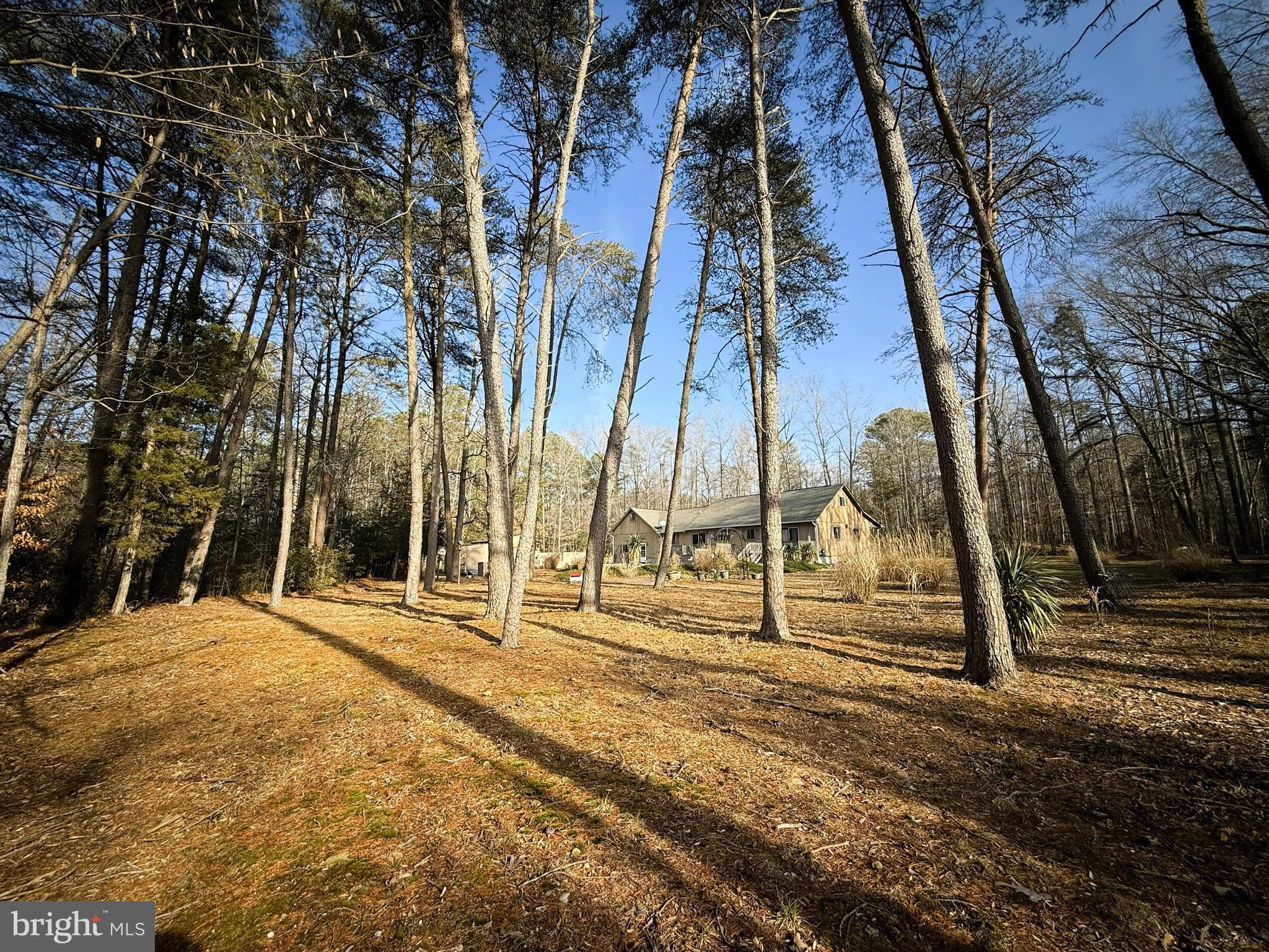 12820 Porters Landing Road Greensboro, MD 21639 - Photo 16 of 28 View towards the house from the water
