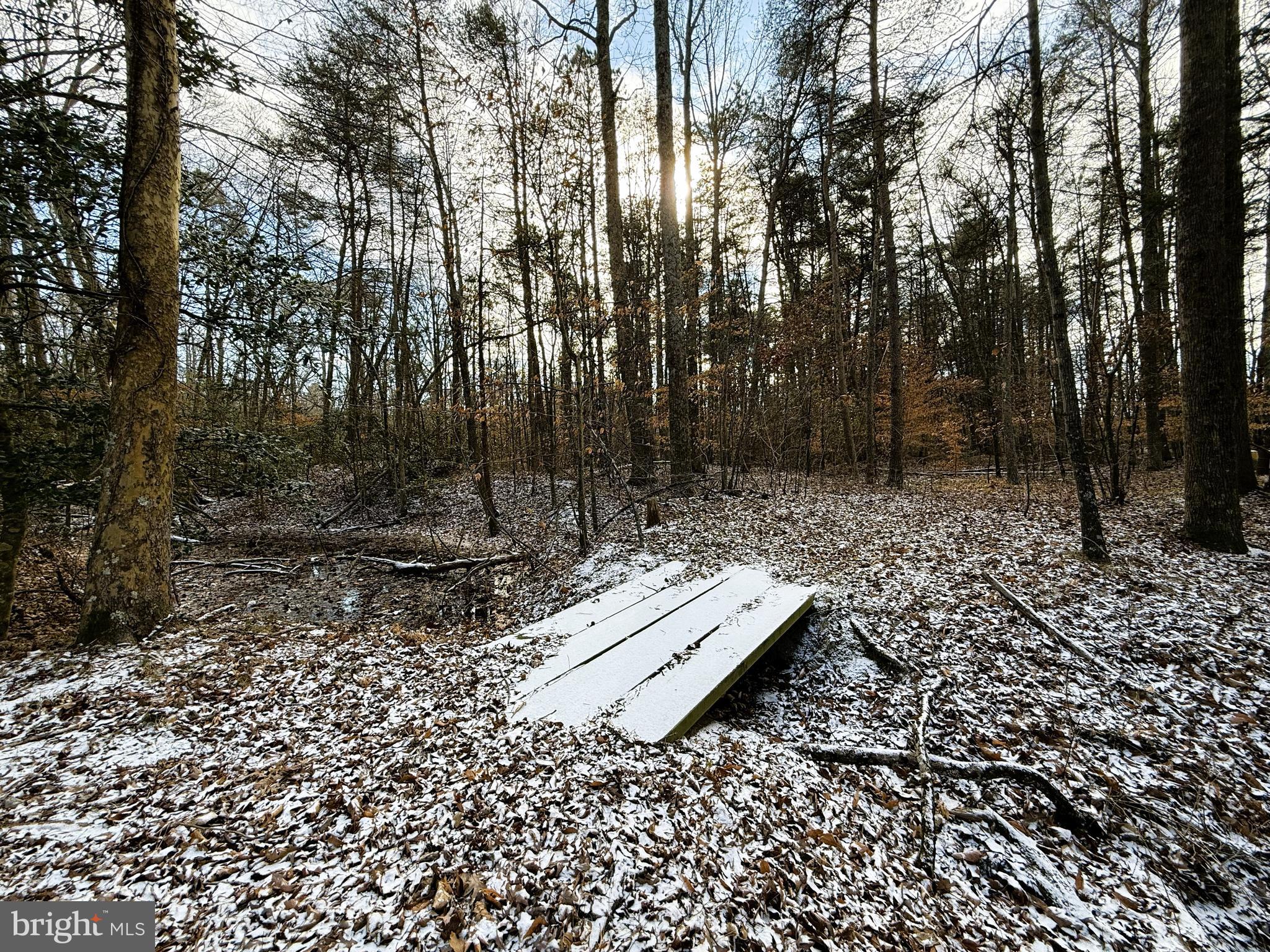 12820 Porters Landing Road Greensboro, MD 21639 - Photo 20 of 28