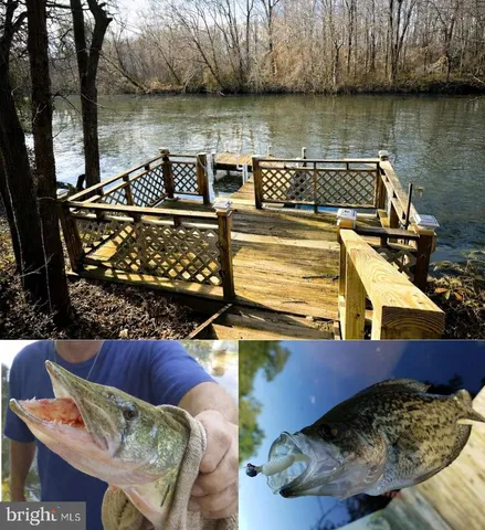 $749,900 | 12820 Porters Landing Road, Greensboro, MD 21639