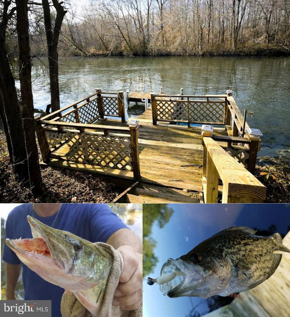 12820 Porters Landing Road Greensboro, MD 21639 - Photo 3 of 72 Great fishing from your private deck & pier