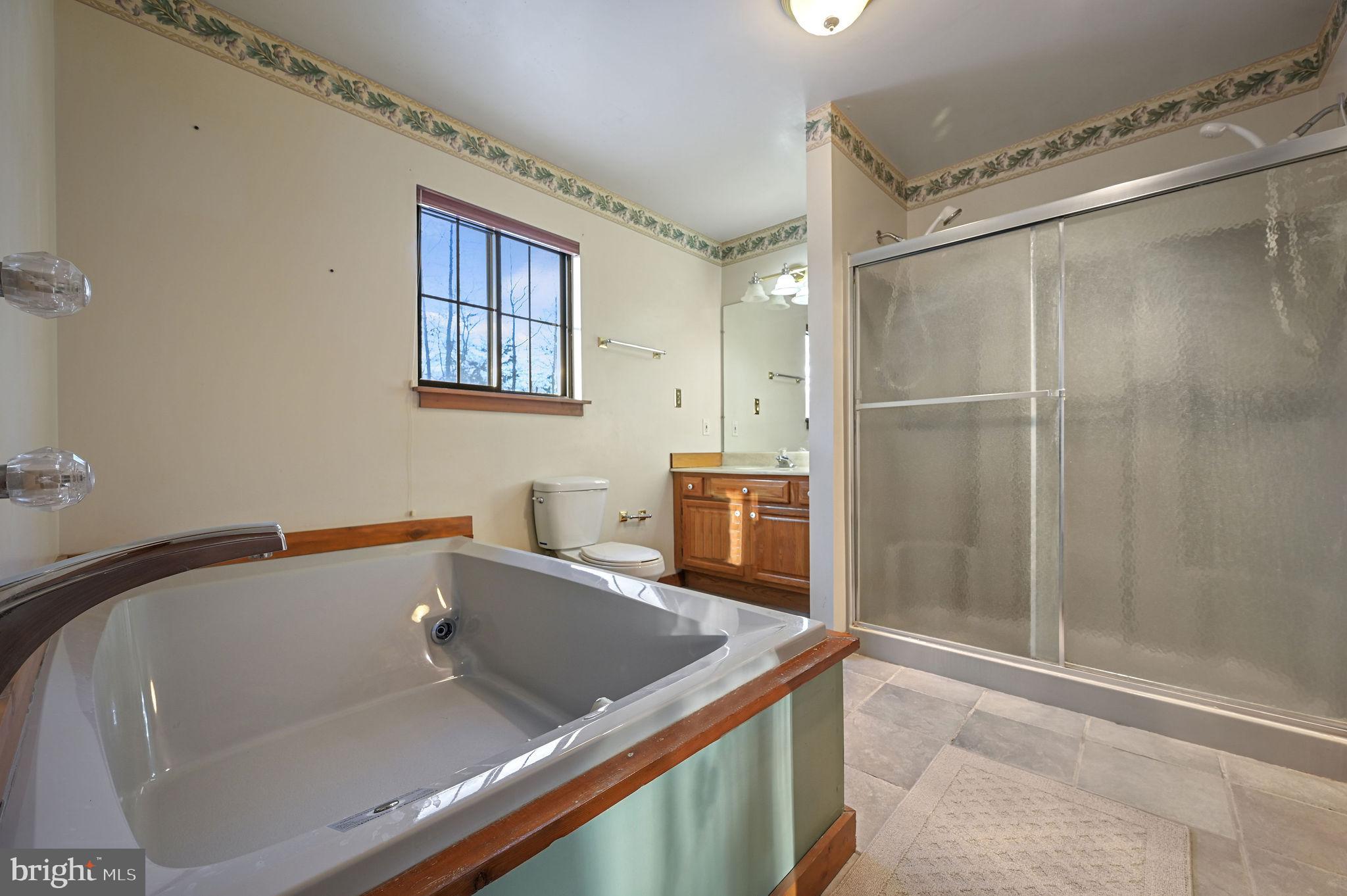 12820 Porters Landing Road Greensboro, MD 21639 - Photo 36 of 72 Primary bathroom with full bath amenities.