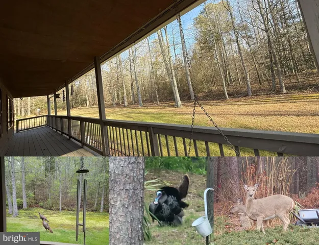 $749,900 | 12820 Porters Landing Road, Greensboro, MD 21639