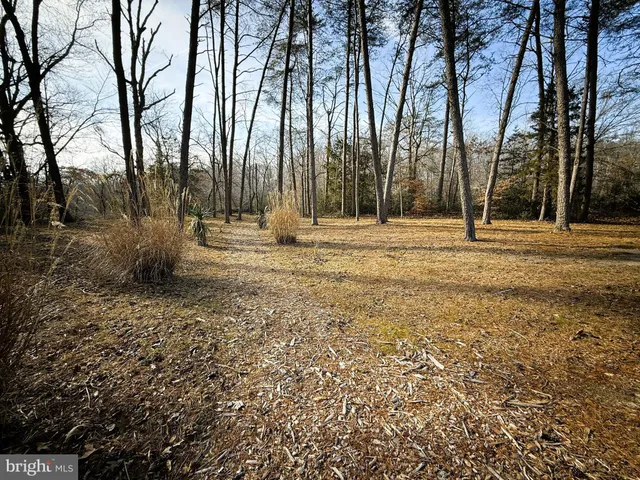 $749,900 | 12820 Porters Landing Road, Greensboro, MD 21639