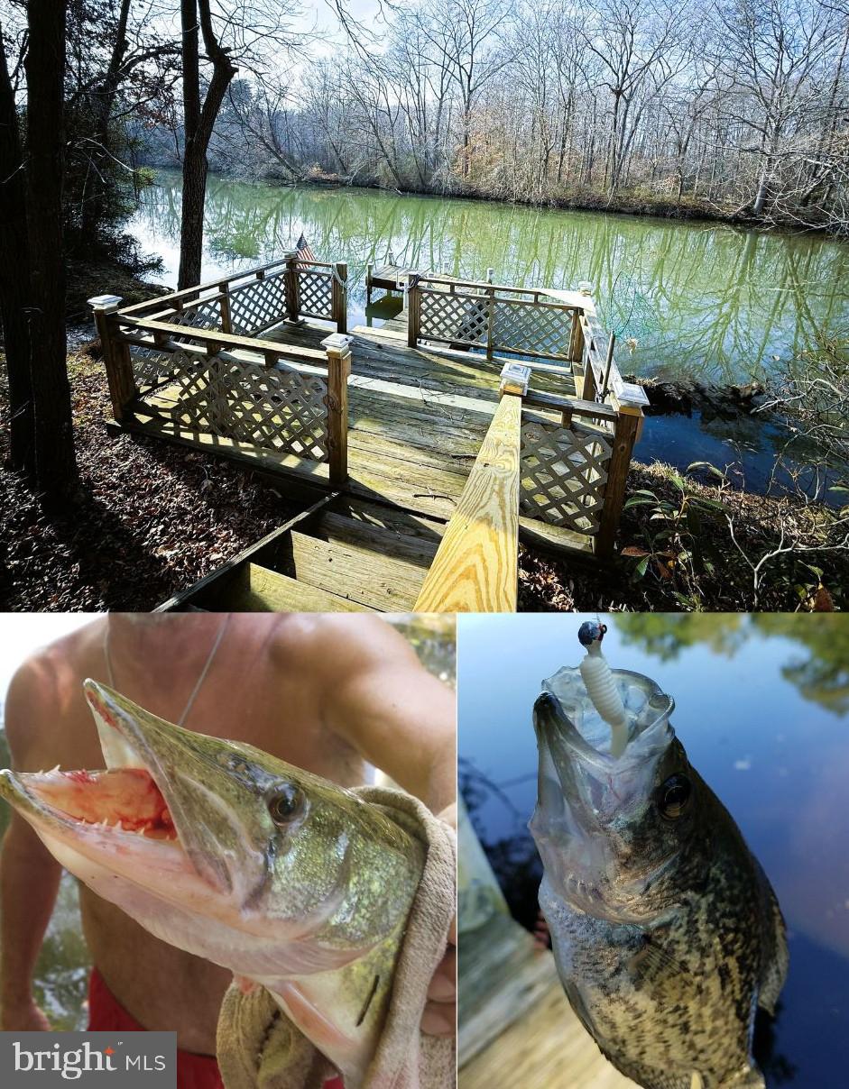 12820 Porters Landing Road Greensboro, MD 21639 - Photo 5 of 28 Plenty of fish to catch from your own pier!