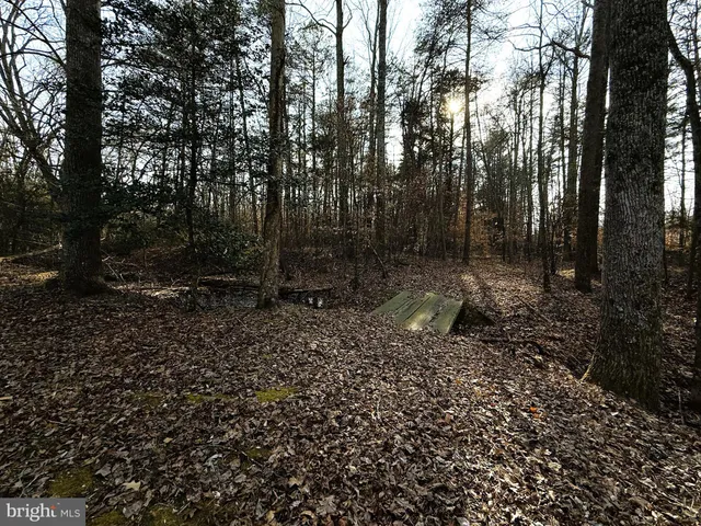 $749,900 | 12820 Porters Landing Road, Greensboro, MD 21639