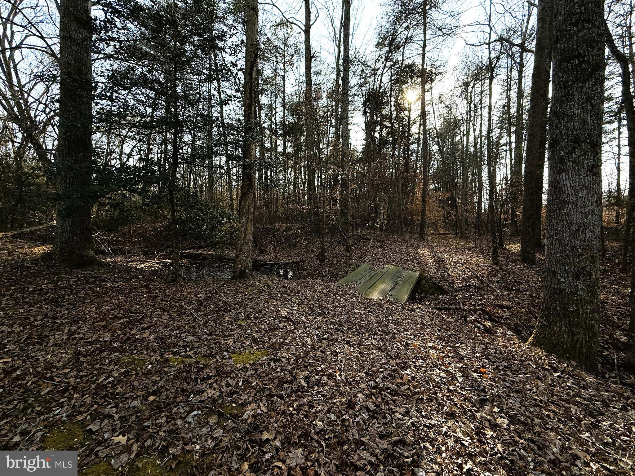 12820 Porters Landing Road Greensboro, MD 21639 - Photo 53 of 72 Wooden plank bridge crosses over stream into woods