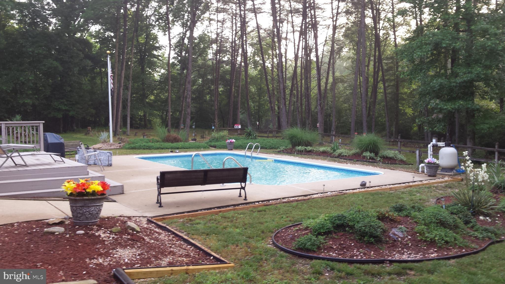 12820 Porters Landing Road Greensboro, MD 21639 - Photo 63 of 72 Summer pool photo