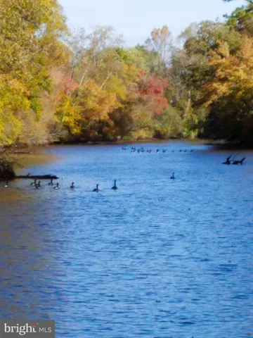 $749,900 | 12820 Porters Landing Road, Greensboro, MD 21639