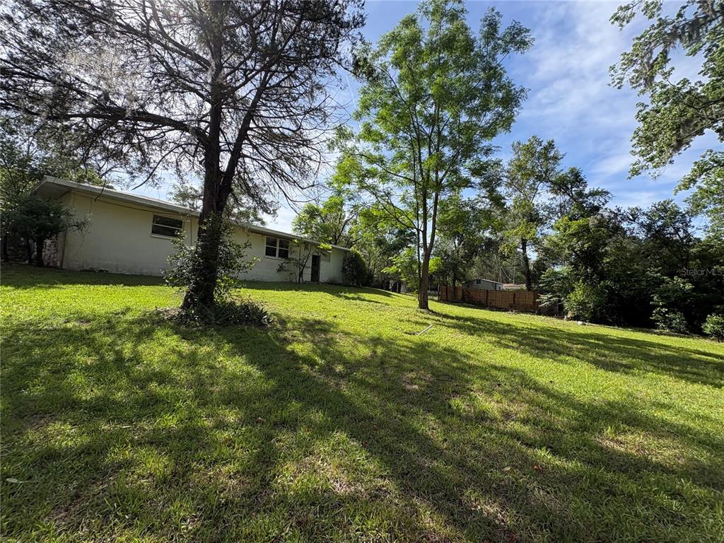 3922 South Apopka Avenue Inverness, FL 34452 - Photo 4 of 39 a view of a tree in a yard