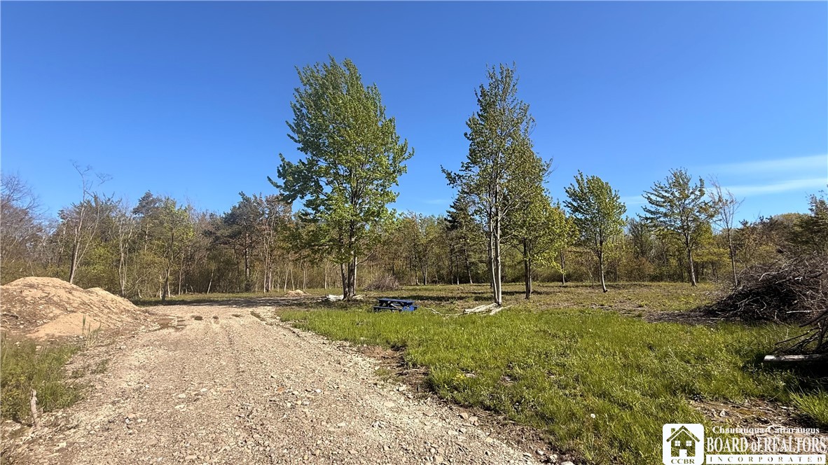 9556 Stone Road Pomfret, NY 14063 - Photo 3 of 5