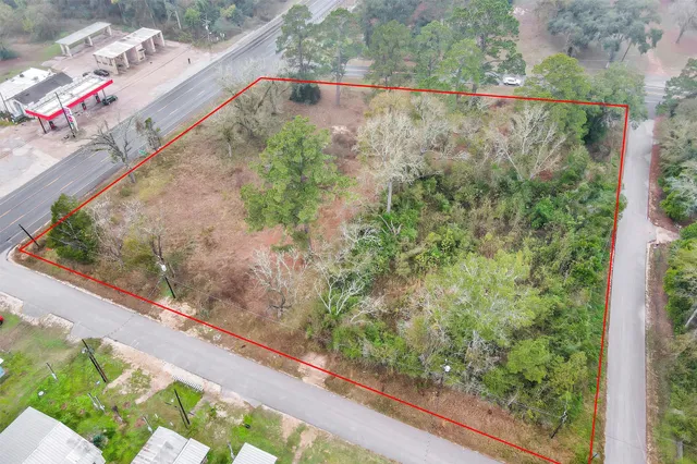 a view of a forest from a window