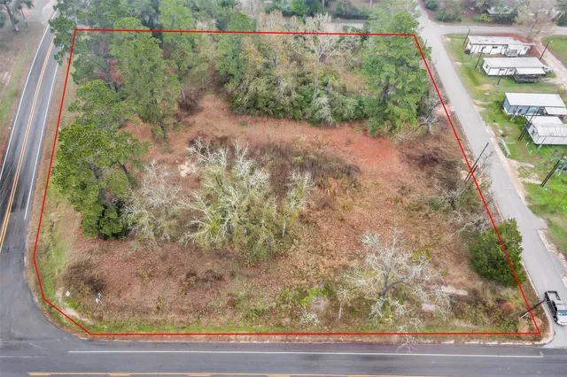 a view of a yard with large trees
