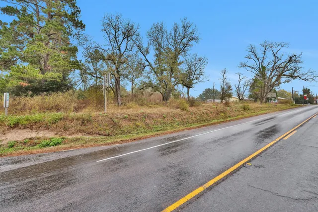 a view of a yard with large trees