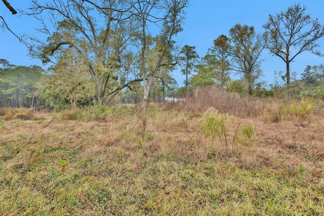 a view of a lake with a tree