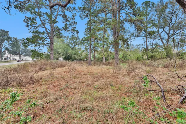 a view of a yard with a tree