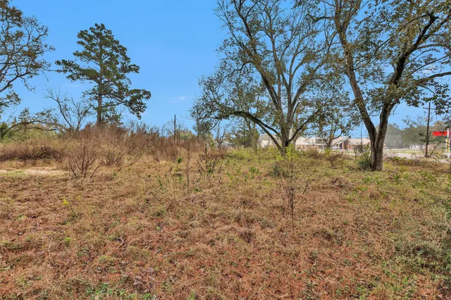 a view of yard with trees