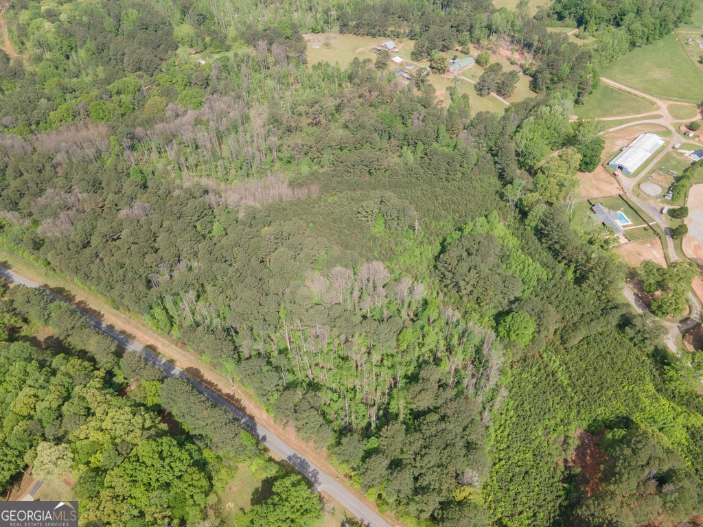 0 Beavers Road Grantville, GA 30220 - Photo 6 of 11