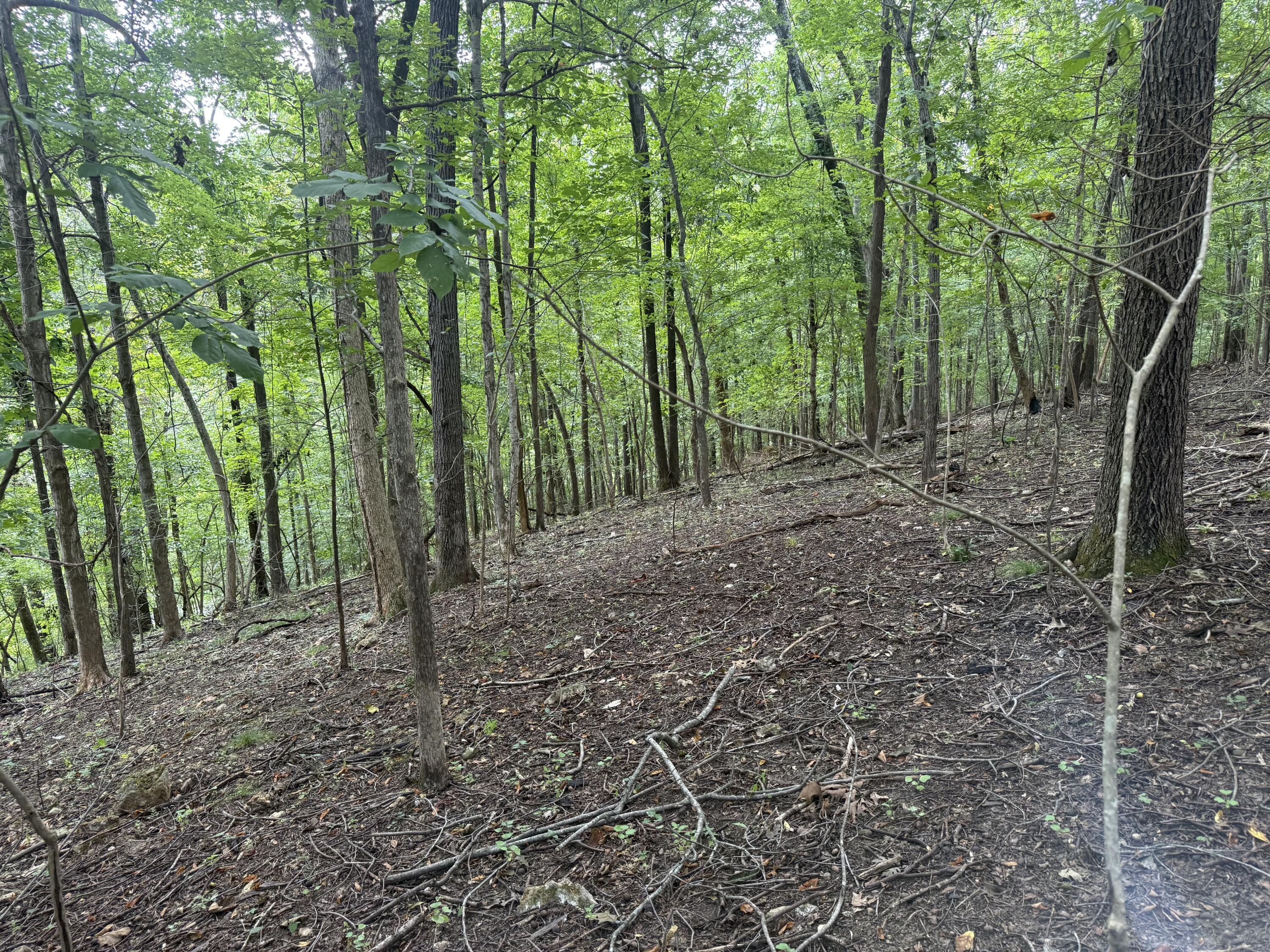 0 Perry Springs Road Eddyville, KY 42038 - Photo 28 of 41 24